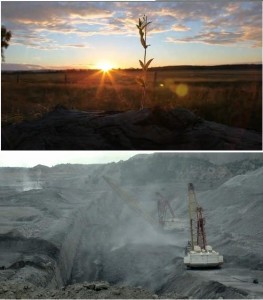 film pic_combined
