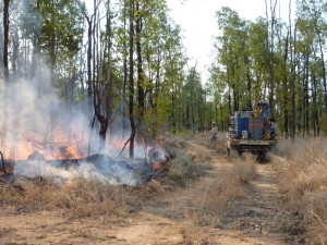 Fire is an important management tool at Bimblebox. There is the constant threat of uncontrolled fires coming onto the property during the summer months, which would be devastating for wildlife. Controlled burn time is August and September. 